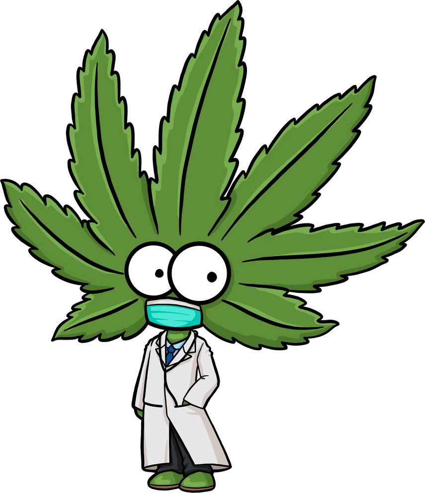 Cute cartoon cannabis marijuana character doctor